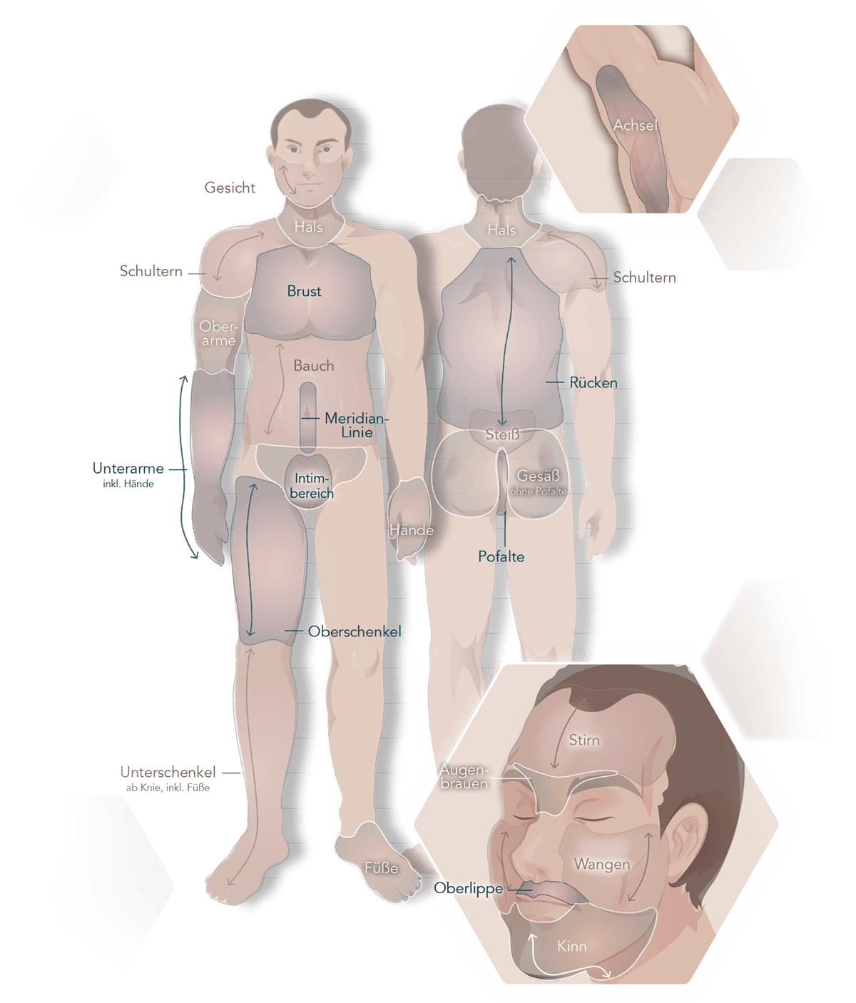 Koerperregionen Mann Behandlungsareale Infografik